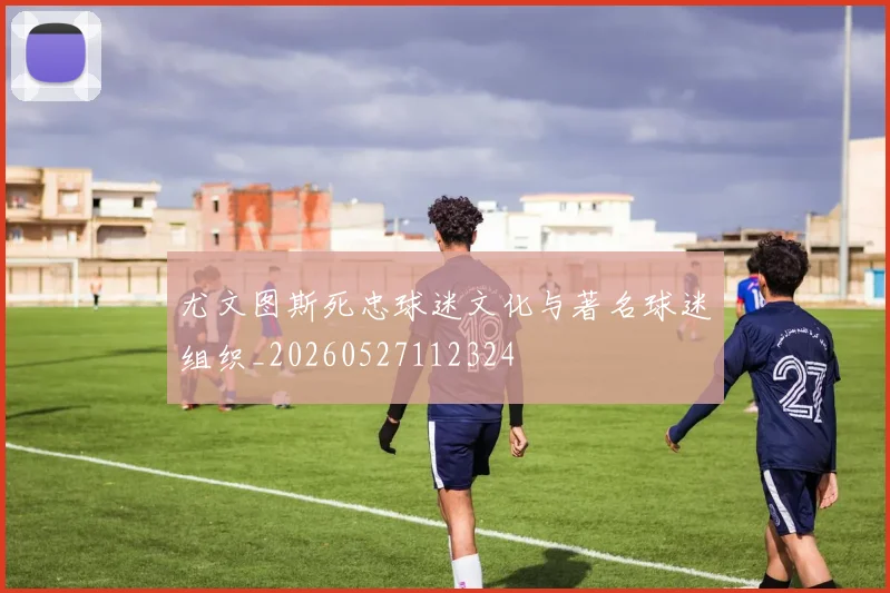 尤文图斯死忠球迷文化与著名球迷组织_20260527112324