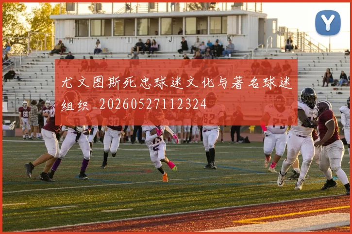 尤文图斯死忠球迷文化与著名球迷组织_20260527112324