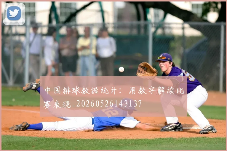 中国排球数据统计:用数字解读比赛表现_20260526143137