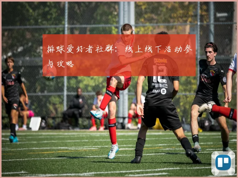 排球爱好者社群：线上线下活动参与攻略